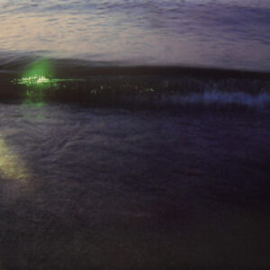 Emeralds - Emeralds LP