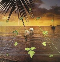 Sun Araw - Beach Head LP