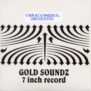 Vibracathedral Orchestra - s/t 7"