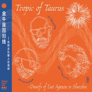 Dwarfs Of East Agouza - Tropic Of Taurus LP (Orange Vinyl)