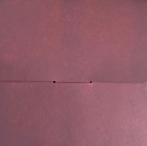Sir Richard Bishop - Theme For An Imaginary SM Session 7" (lathe cut, clear, edition of 50) registered - Image 8