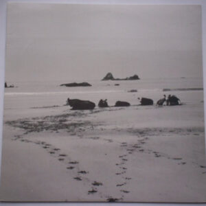 Alvarius B. - Alvarius B. LP